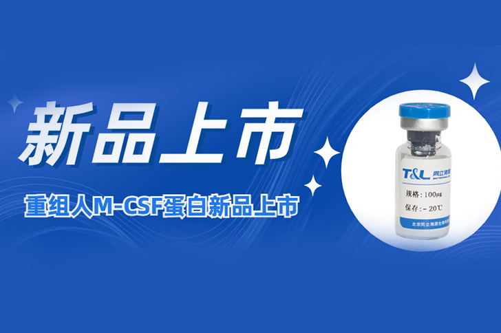 M-CSF | 让您的巨噬细胞更强大！