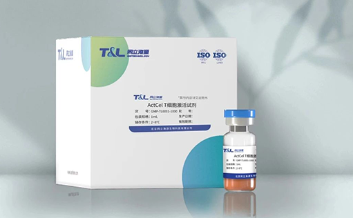 特别推荐—GMP级别ActCel T细胞激活试剂重磅上市！