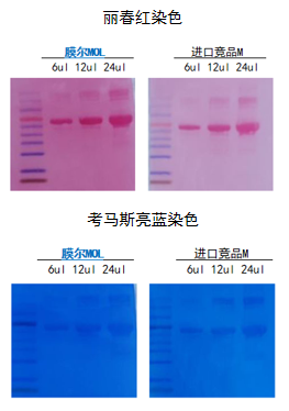 710公海官网产品推荐：膜尔新材0.45μmPVDF膜—实验数据