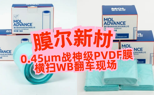 “膜”力加倍！膜尔新材战神级PVDF膜横扫WB翻车现场—0.45μm精准孔径狙杀各类蛋白，背景纯净如冰川
